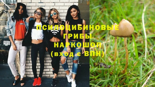 гидропоника Балабаново