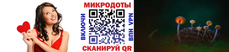 купить закладку  Ладушкин  Галлюциногенные грибы Psilocybe 
