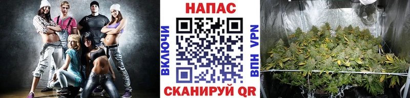 Бошки Шишки AK-47  Ладушкин 